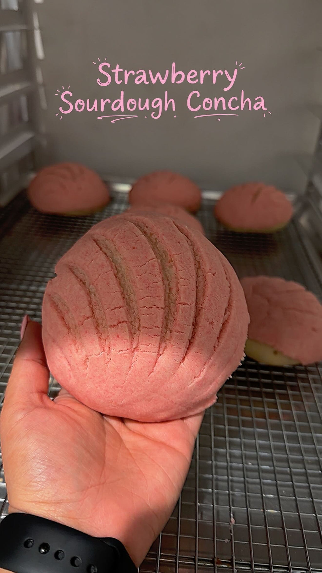 Sourdough Concha
